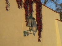 Lamp on October 14, 2010