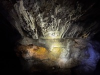 Log in the silver mine